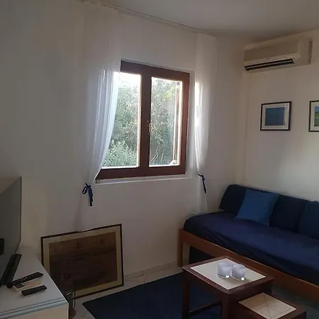 Holiday Salvia Prázdninový dům *