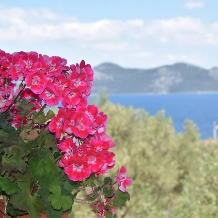 Prázdninový dům Holiday Salvia Mali Iž